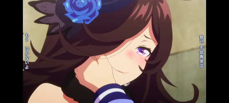 赛马娘,赛马娘PrettyDreby,动画,动漫,AMV,MAD,二次元,ACG