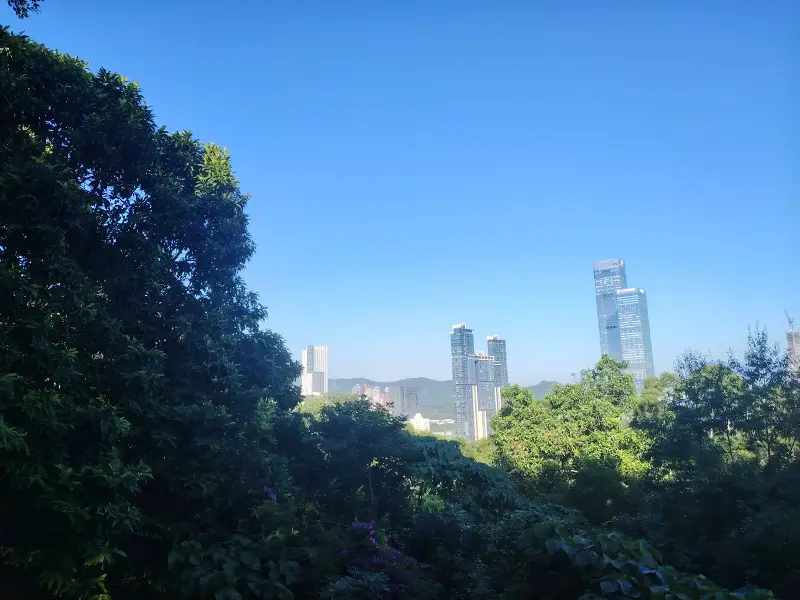 生日,琪露诺,立冬