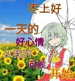 早上好