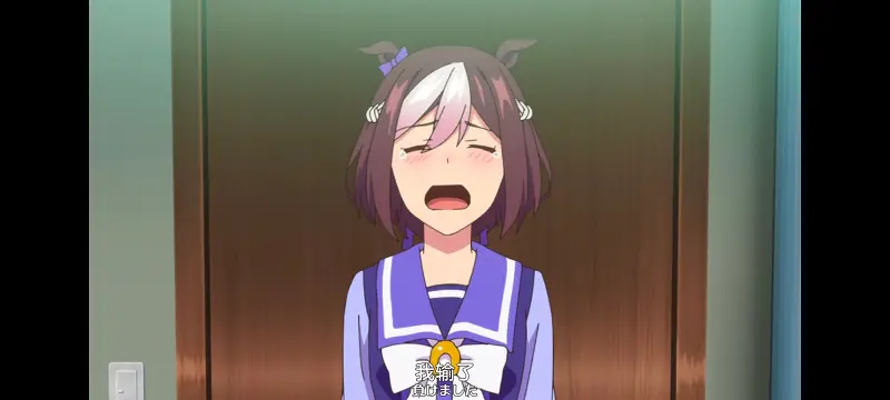 赛马娘,赛马娘PrettyDreby,动画,动漫,番剧,ACG
