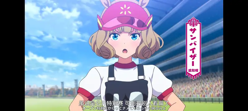 赛马娘,赛马娘PrettyDreby,动画,动漫,番剧,ACG
