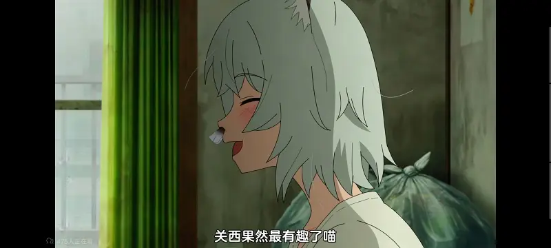 尼古喵喵,雅尼猫,动画,动漫,番剧,日漫,二次元,ACG