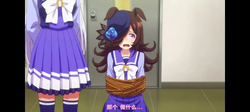 赛马娘,赛马娘第二季,动画,动漫,番剧,二次元,ACG,赛马娘PrettyDerby