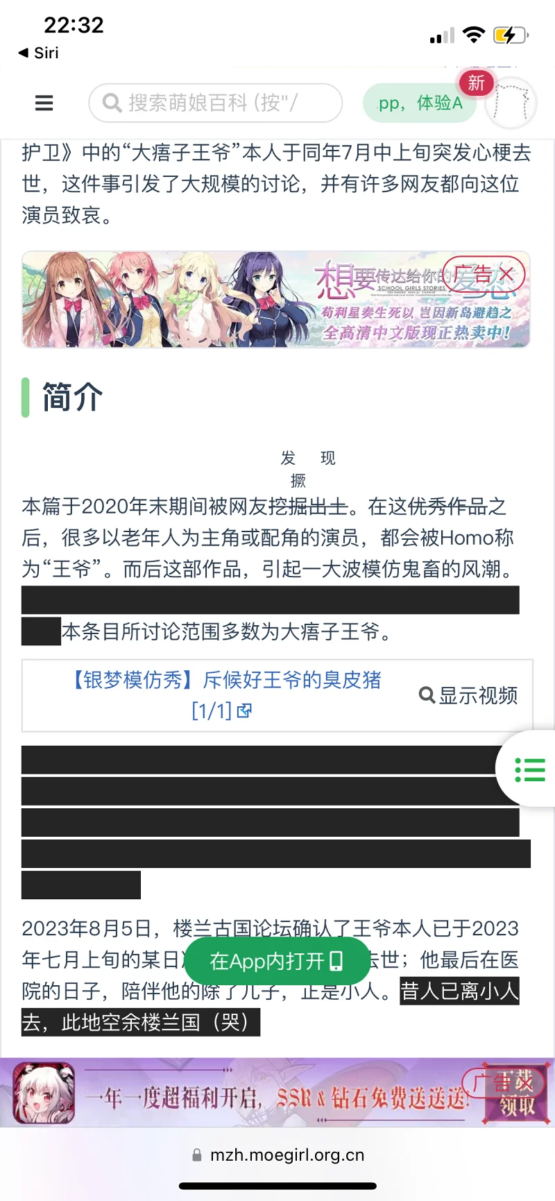 悲报,大痦子王爷,Cosplay亲王与护卫