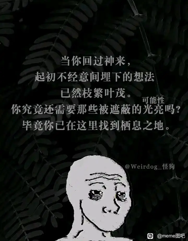 meme
