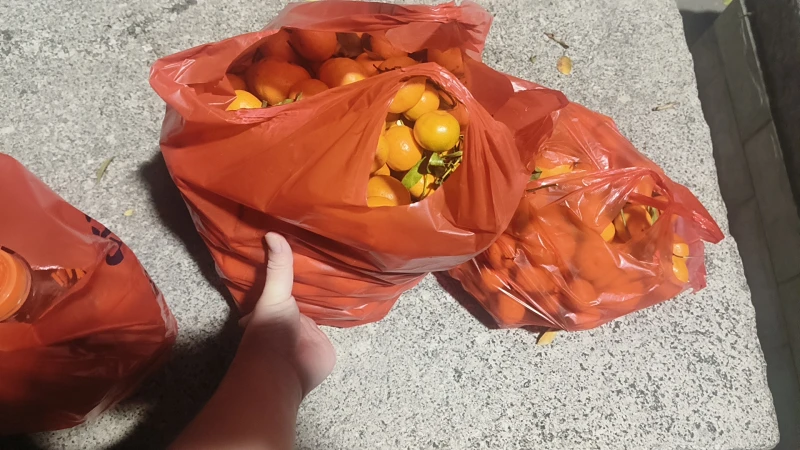关于今天晚上的年夜饭