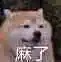 游戏,FATE