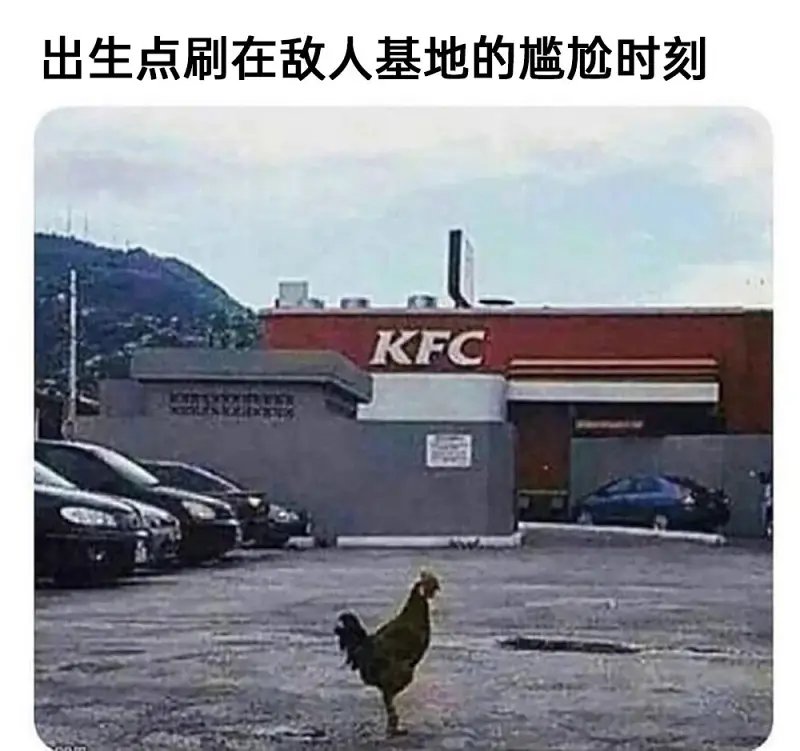meme,模因,搞笑