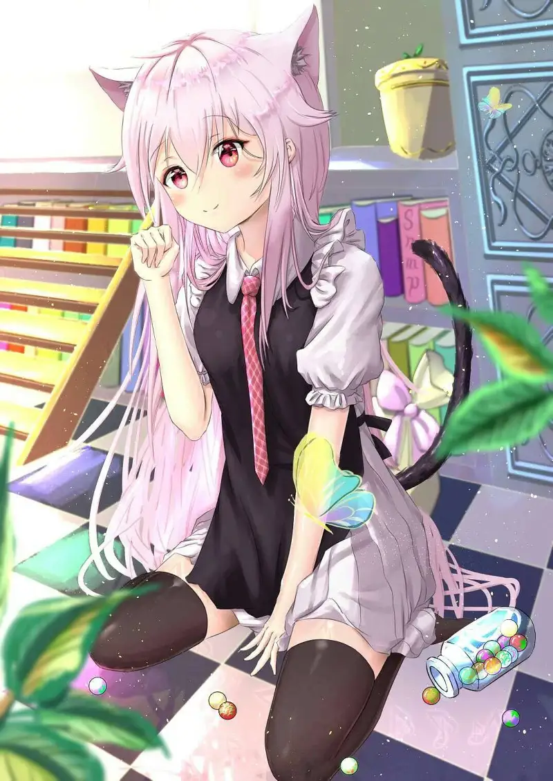 M站美图,兽耳娘