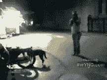 梗图,meme,动图,GIF,亓才孑