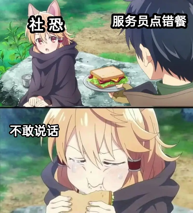 meme,模因,搞笑
