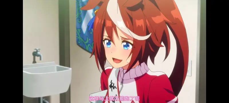 赛马娘,赛马娘PrettyDreby,赛马娘第二季,动画,动漫,番剧,二次元,ACG