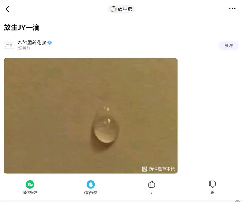 闲聊茶馆,乐子,贴吧