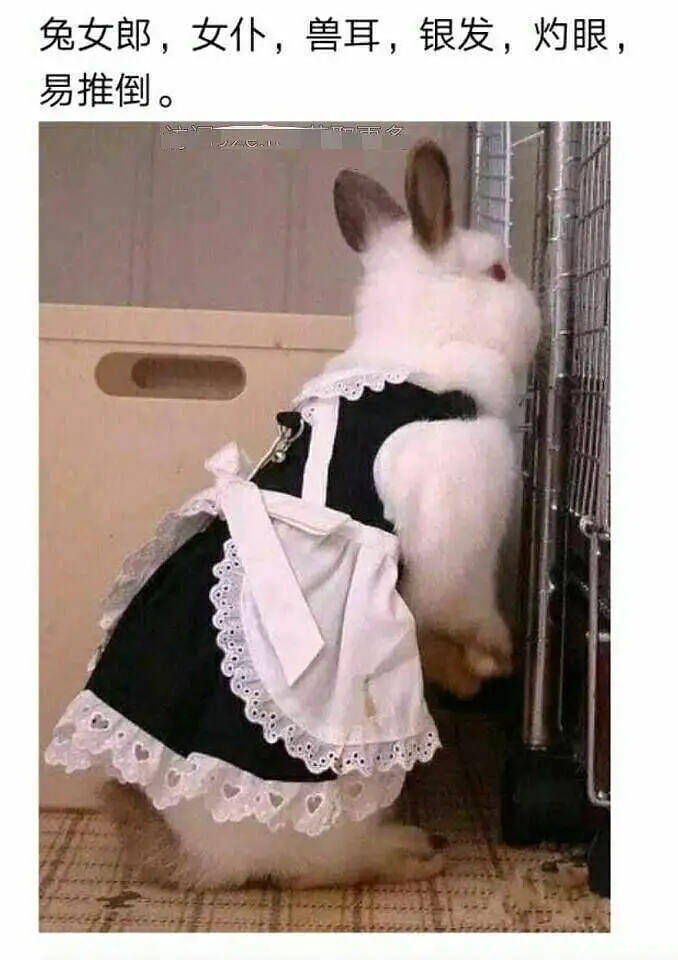 ?女郎，制服