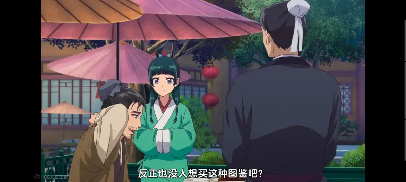 药屋少女的呢喃,药师少女的独语,动画,动漫,番剧,日漫,二次元,ACG