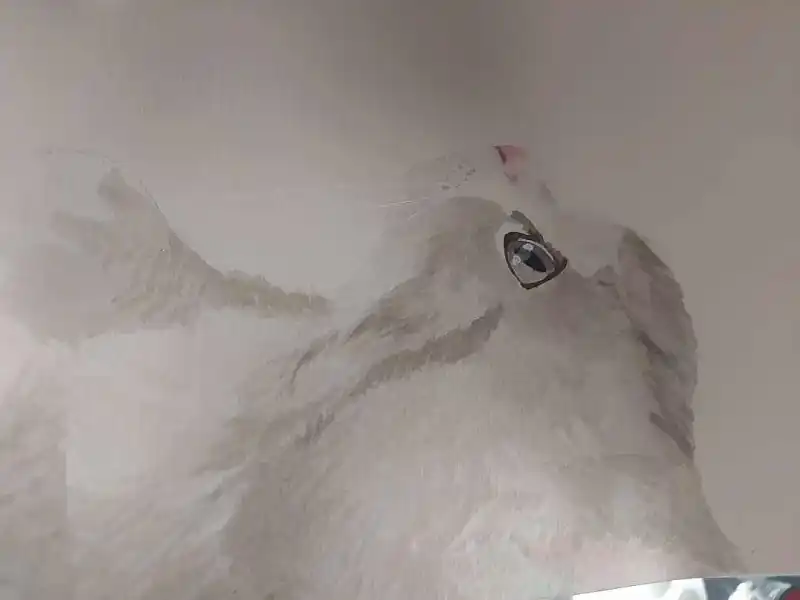 水彩