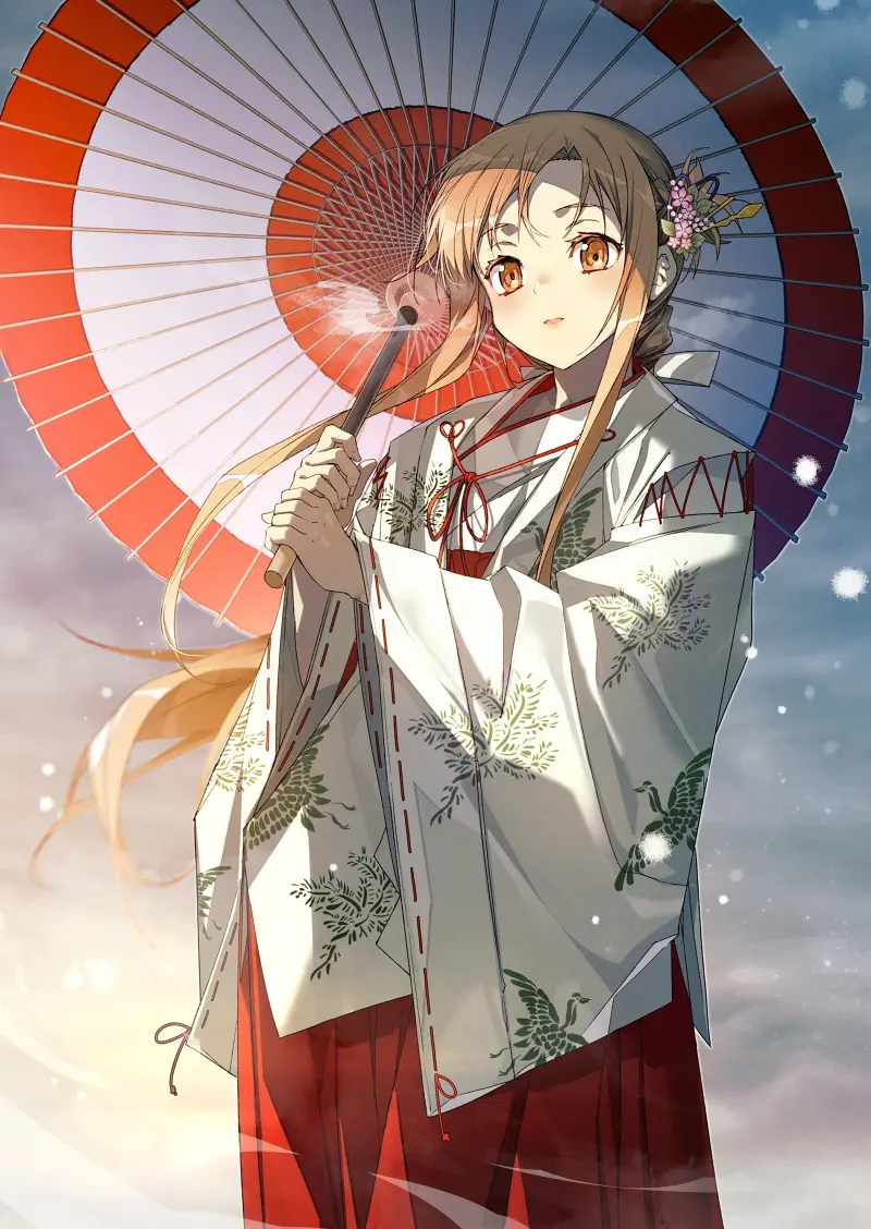 〖刀剑神域〗