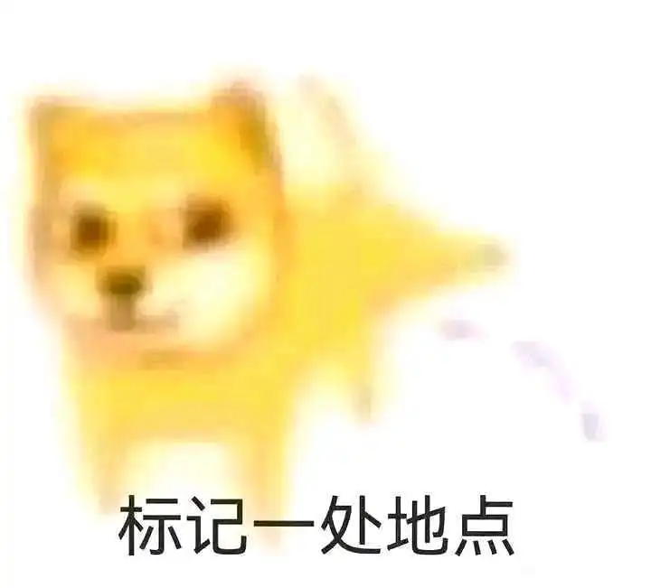 新人报道