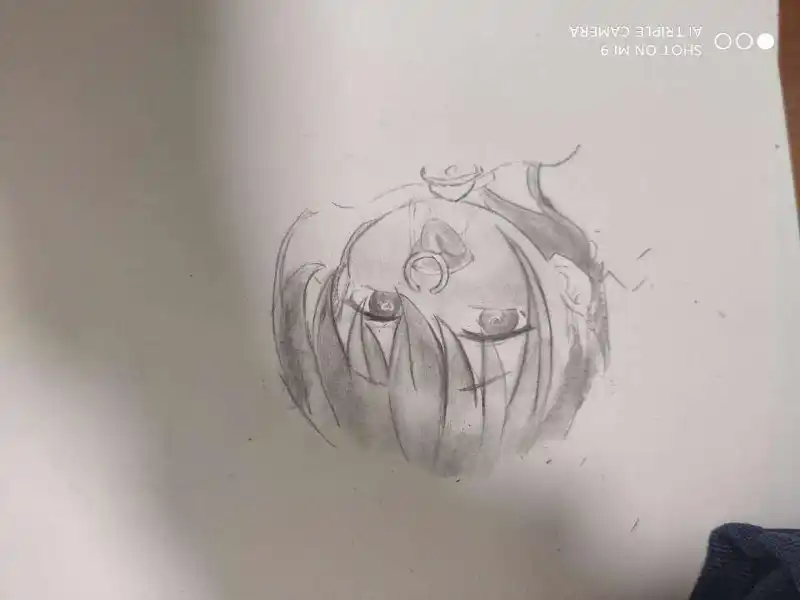 手绘(危)