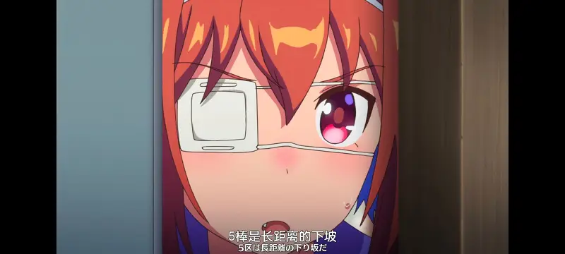 赛马娘,赛马娘PrettyDreby,动画,动漫,番剧,ACG
