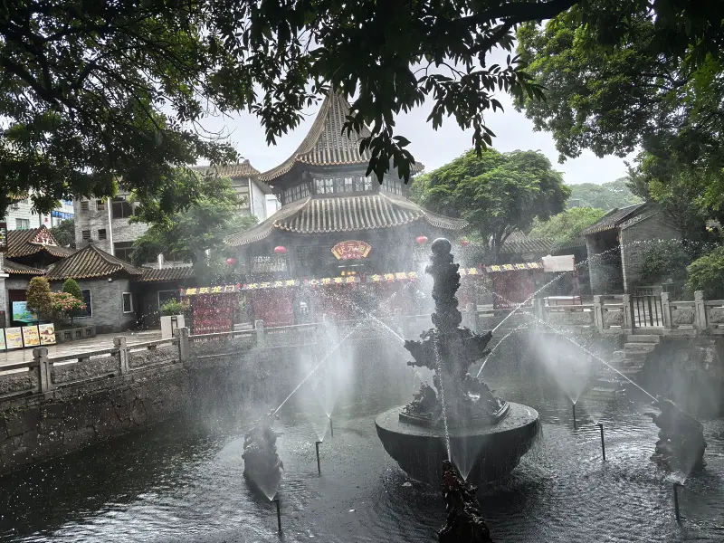 玩,波奇,孤独,开心,简单,生日