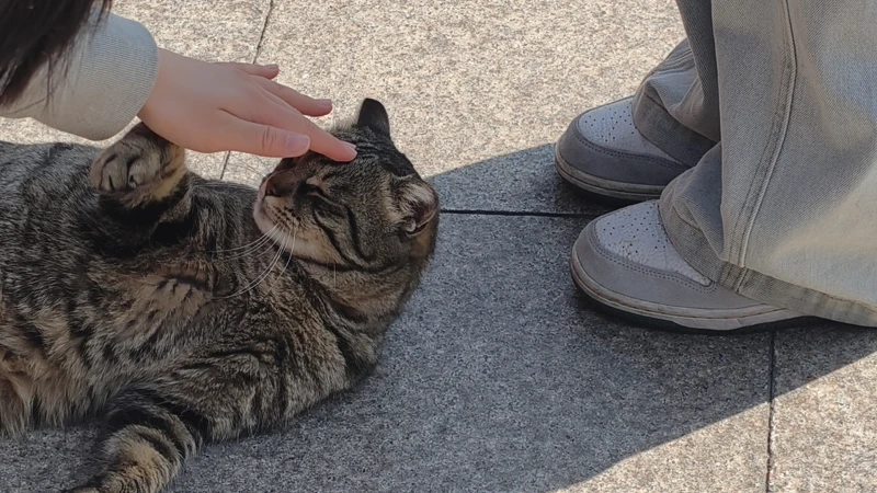 日常