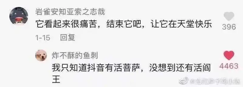 哈哈哈哈哈哈哈哈