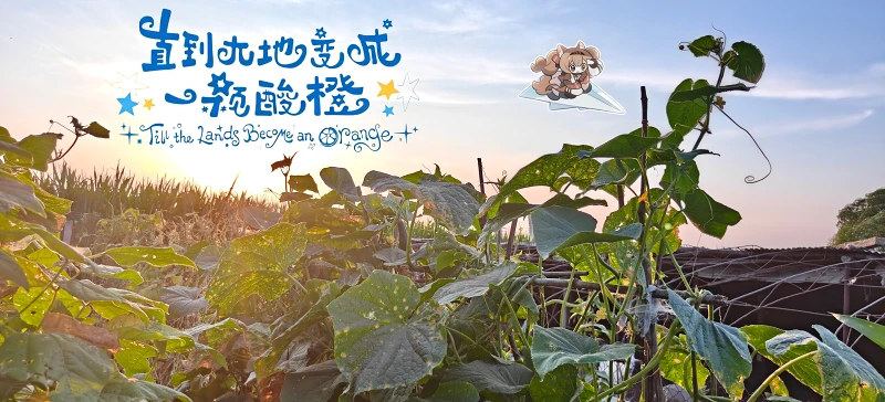 词,文学,夕阳