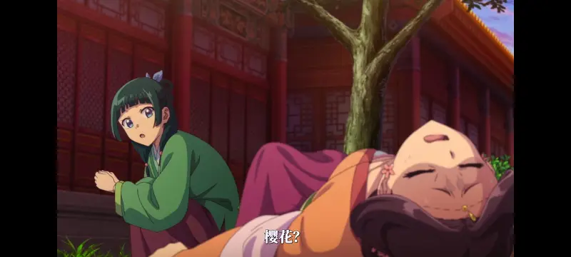 药屋少女的呢喃,药师少女的独语,动漫,动漫区,番剧,动画,番剧推荐,ACG