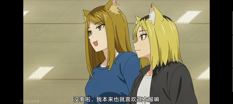 尼古喵喵,雅尼猫,动画,动漫,番剧,二次元,ACG,日漫