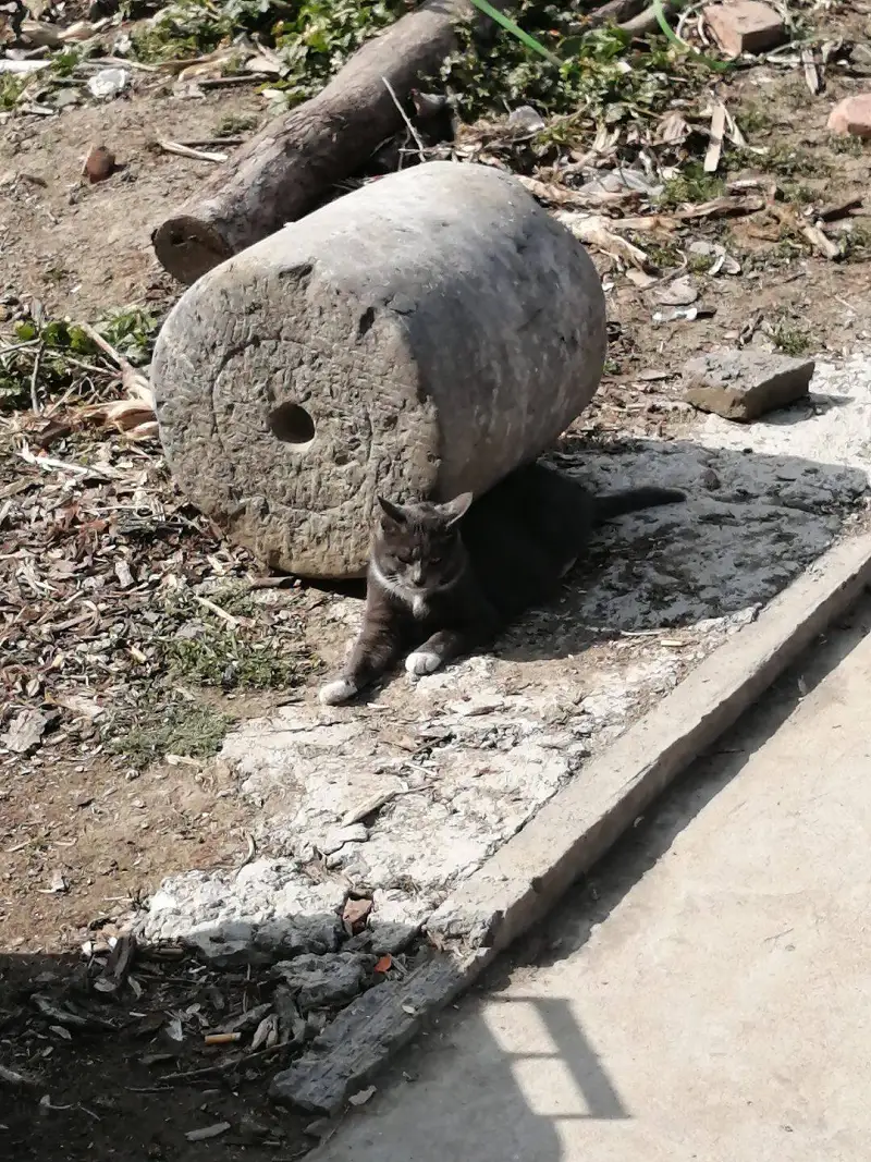 用户交流,闲聊