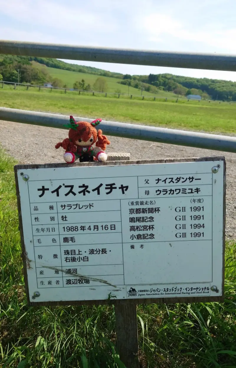 【优秀素质/ナイスネイチャ】优秀素质离世