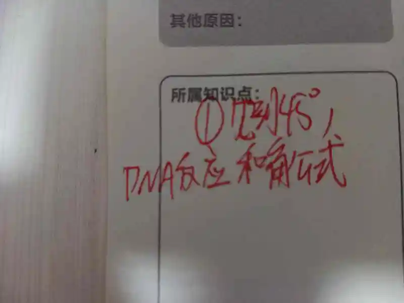 快乐的写作业时光