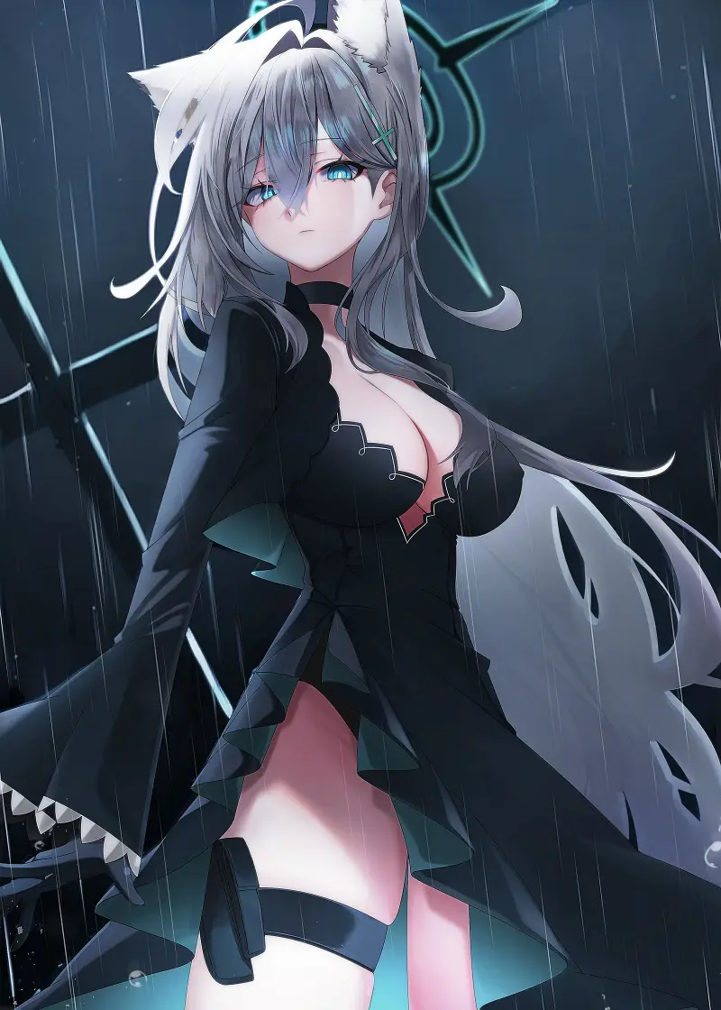 猫娘,涩图,二次元