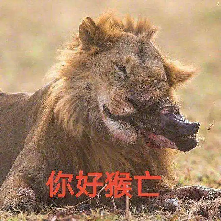 闲聊茶馆,图