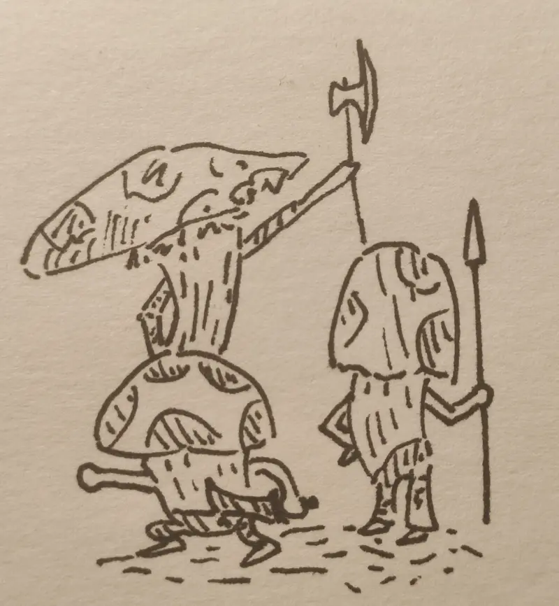 蘑菇