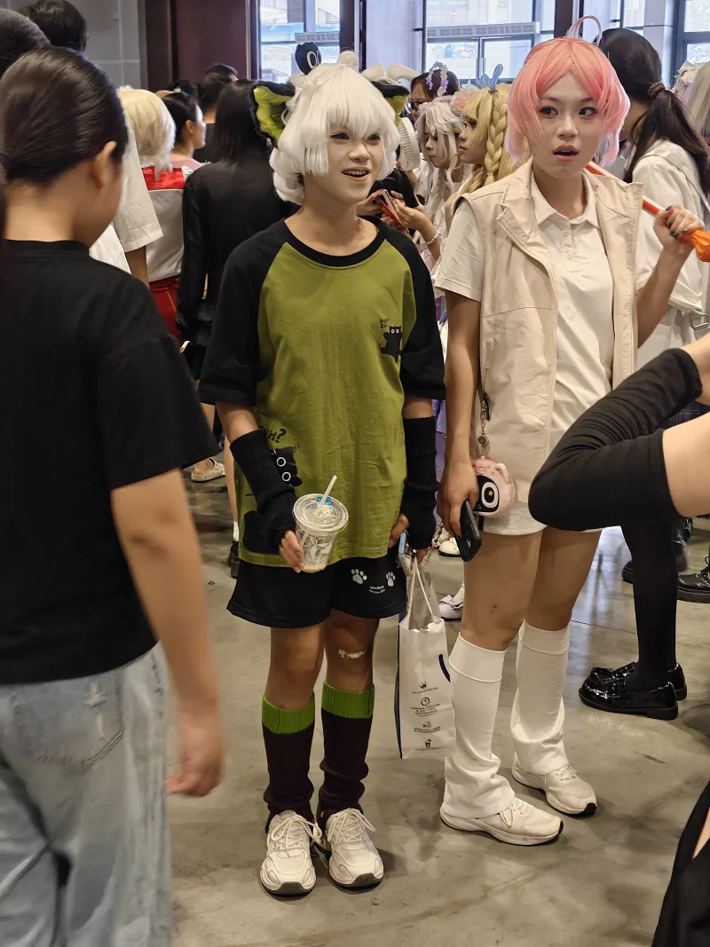 漫展,二次元,东方project,术力口,初音未来,镜音双子,特摄,奥特曼,Minecraft,痛车