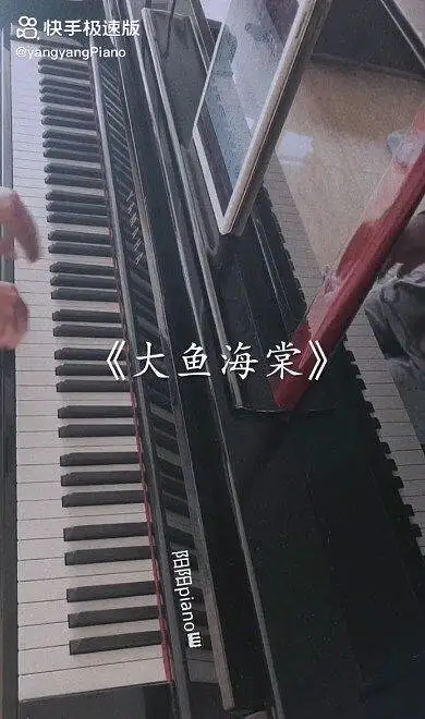 《大鱼海棠》 钢琴完整版


世界
