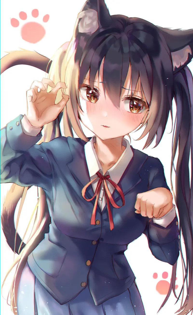 轻音少女,けいおん,中野梓,阿梓喵