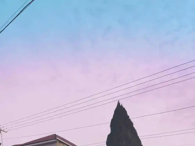 闲