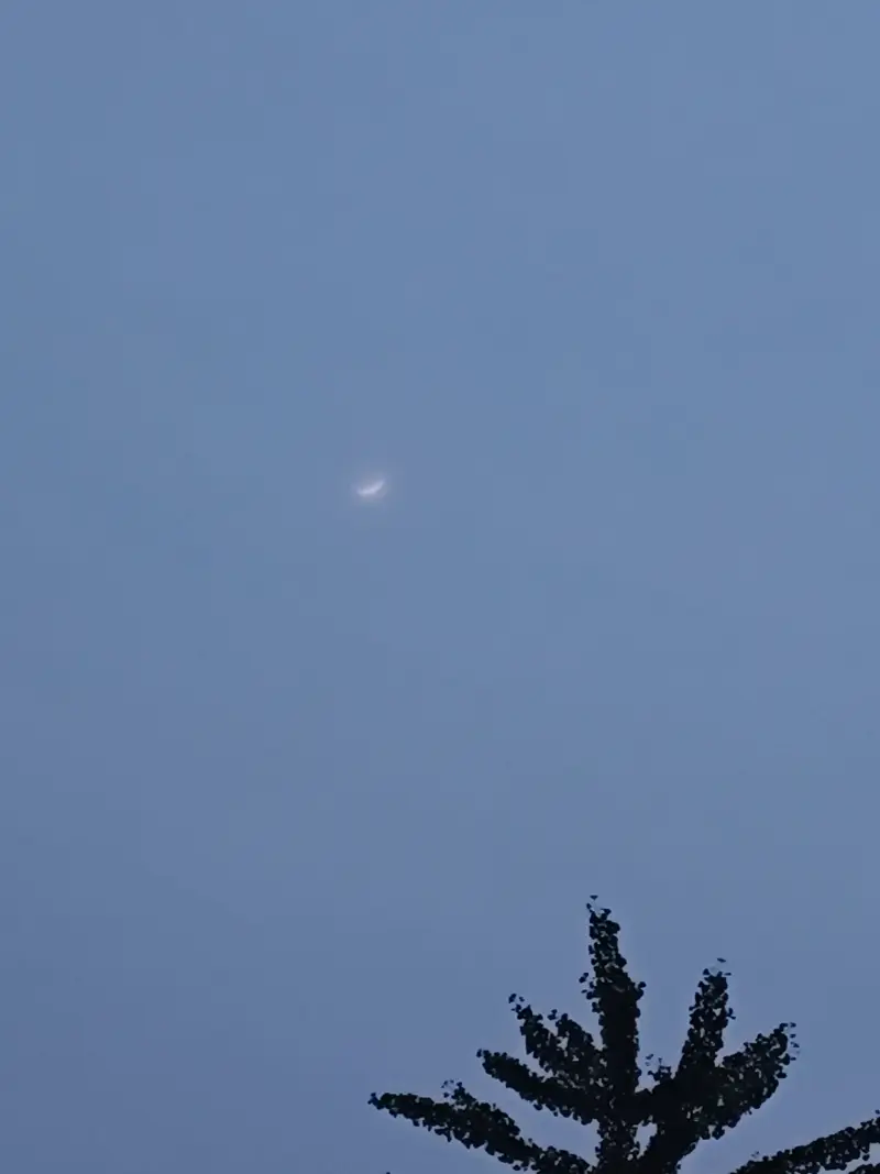 日记