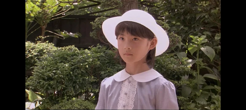 仔犬ダンの物語 仔犬ダンの物語