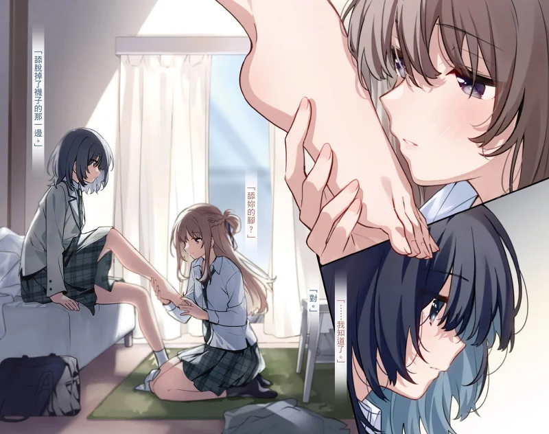 我买下了与她的每周密会,一周一次买下同班同学的那些事,百合,百合小说,轻小说,绘画,插画
