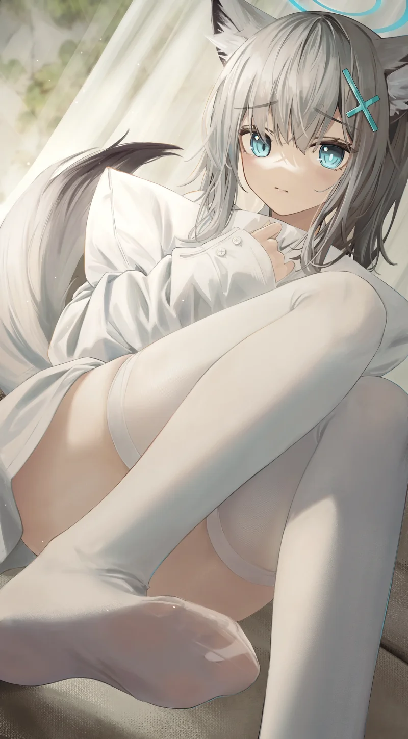 猫娘,涩图,新人,二次元