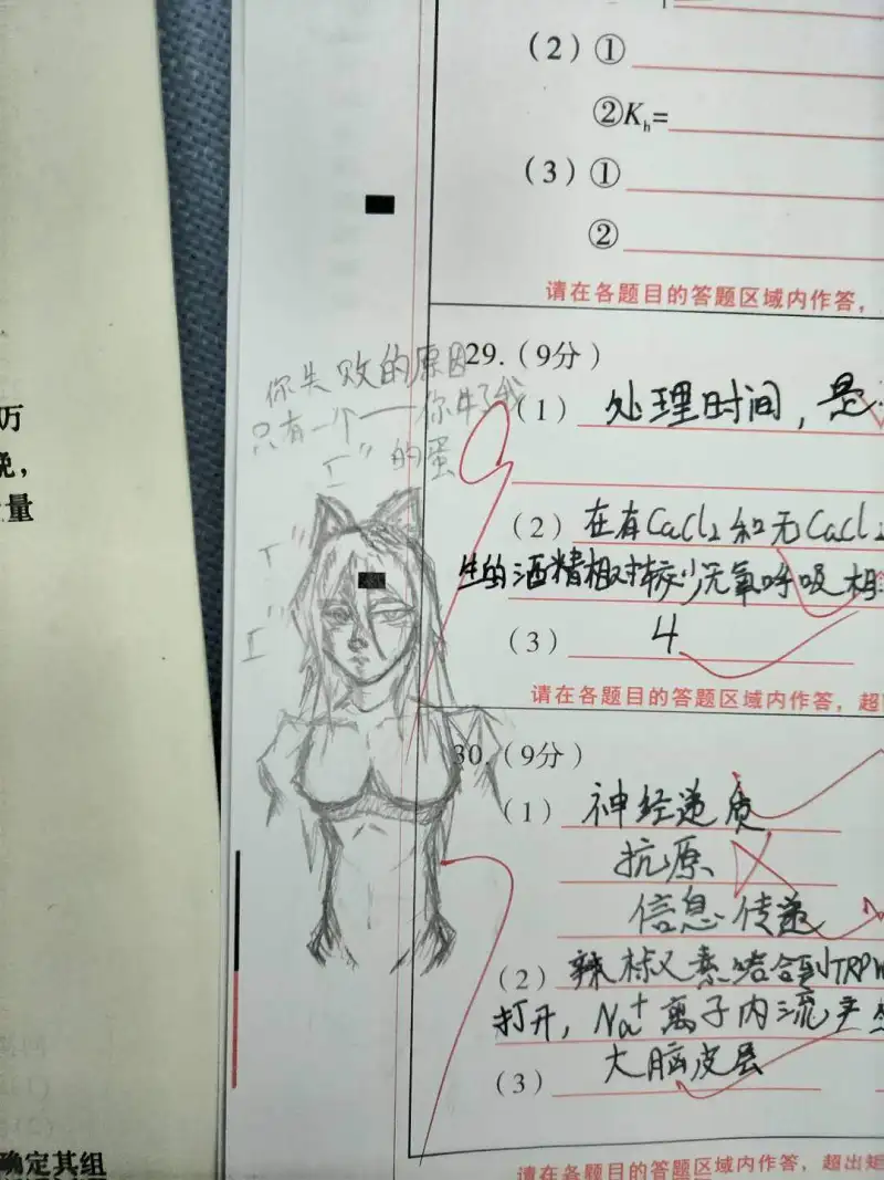 M站美图,摸鱼