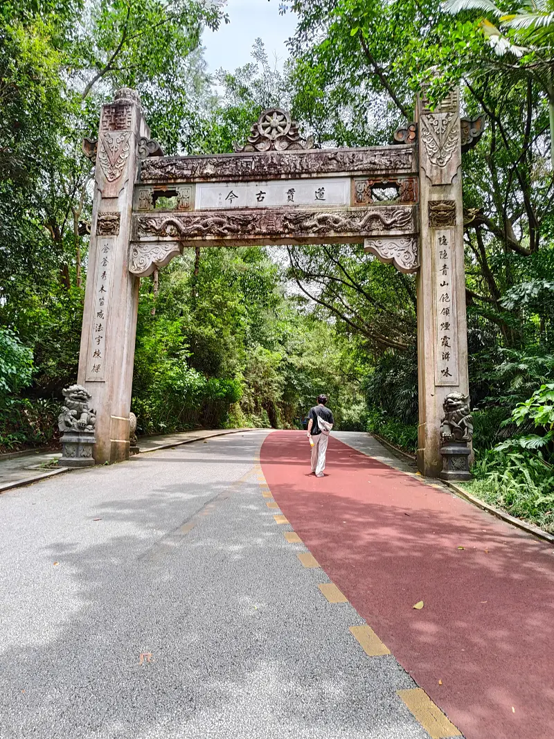 青秀山,三街两巷,特种兵般的旅游