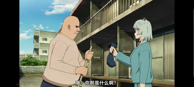 尼古喵喵,雅尼猫,动画,动漫,番剧,日漫,二次元,ACG