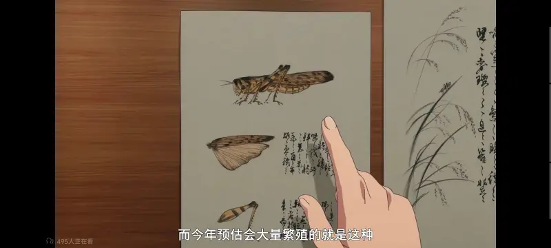 药屋少女的呢喃,药师少女的独语,动画,动漫,番剧,日漫,二次元,ACG