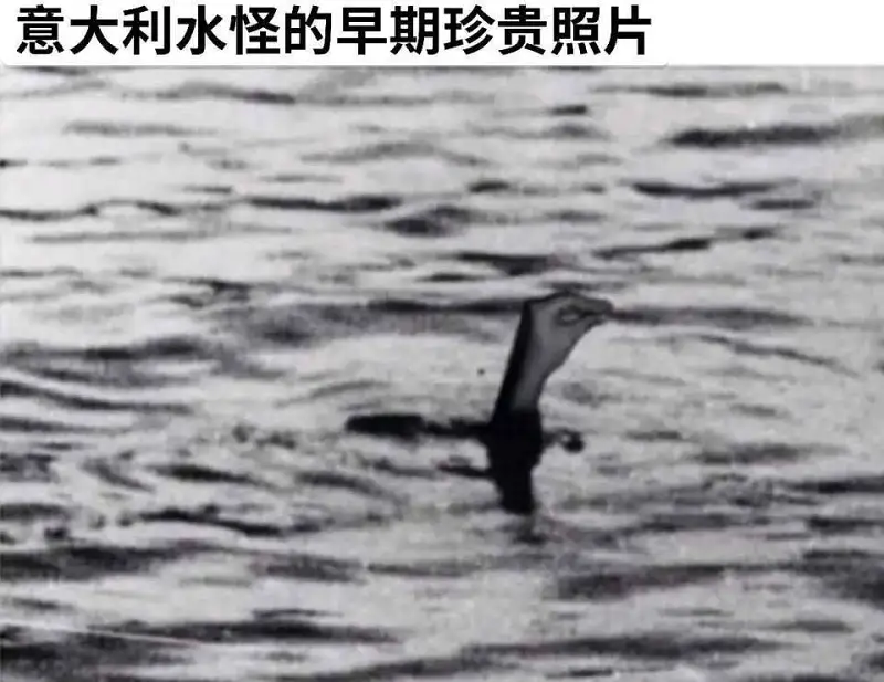 闲聊茶馆