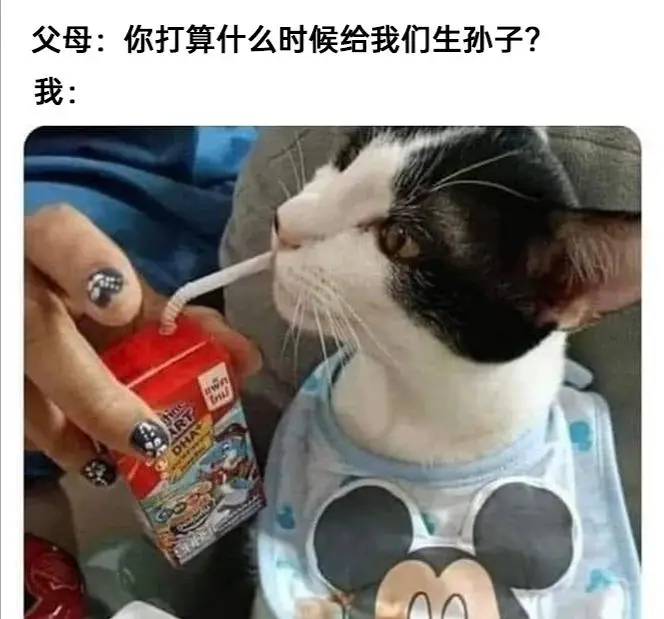 meme 小 合 集